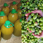 Huile d’olive communale libre de Béni Mellal
